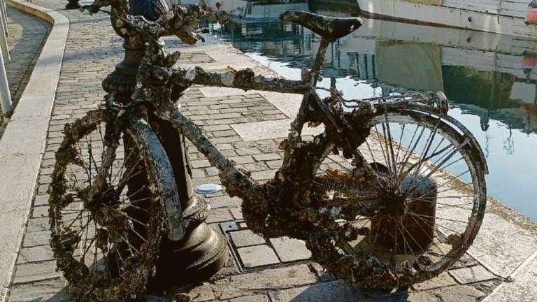 Cesenatico, bici ripescata dopo anni dal porto canale Cesenatico, bici ripescata dopo anni dal porto canale