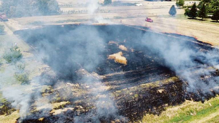 Cesena, il fuoco divampa nel fosso e incenerisce un campo di grano Cesena, il fuoco divampa nel fosso e incenerisce un campo di grano