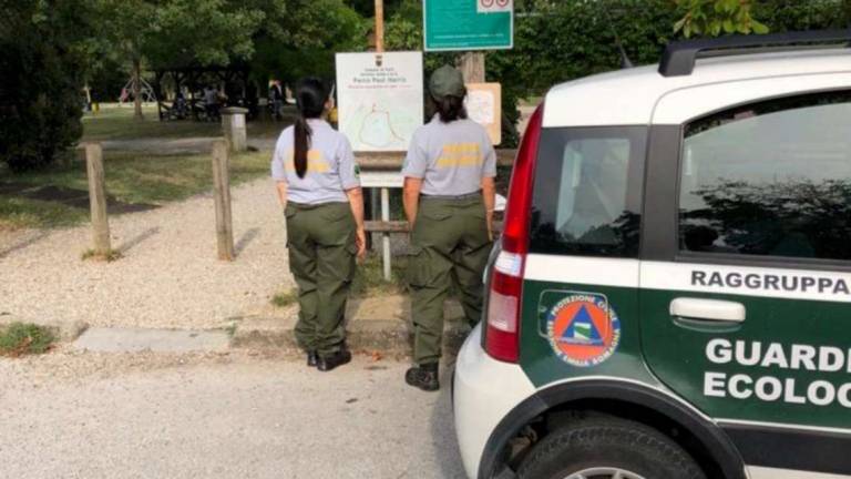 Forlì, 150 multe delle Guardie ecologiche ai furbetti dei rifiuti Forlì, 150 multe delle Guardie ecologiche ai furbetti dei rifiuti