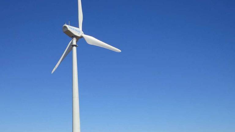 Aziende, chi ha puntato sul green ha reagito meglio alla pandemia Aziende, chi ha puntato sul green ha reagito meglio alla pandemia