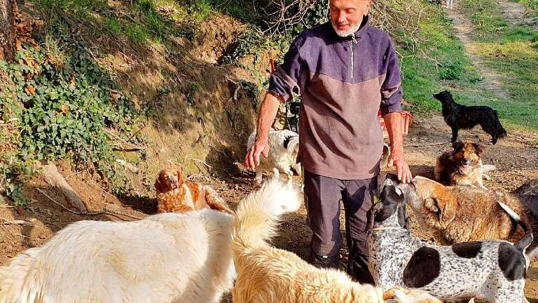 Raccolta di cibo per i cani ospiti del Rifugio di Ulmino Raccolta di cibo per i cani ospiti del Rifugio di Ulmino