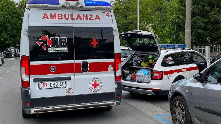 Cesena: ha rischiato la morte per una puntura di insetto Cesena: ha rischiato la morte per una puntura di insetto