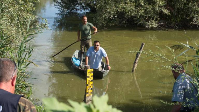 Ravenna, primi volatili con botulino nella valle Mandriole Ravenna, primi volatili con botulino nella valle Mandriole