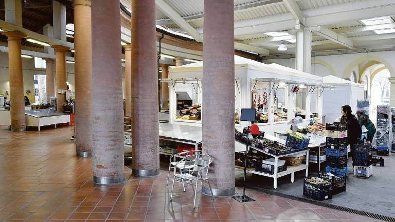 Forlì. Le nuove regole per ambulanti, parrucchieri e tassisti Forlì. Le nuove regole per ambulanti, parrucchieri e tassisti