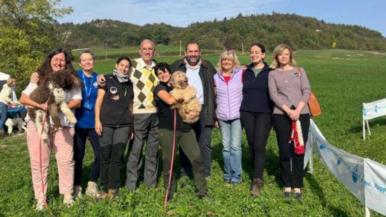 Premilcuore, il raduno dei cani lagotto diventa internazionale Premilcuore, il raduno dei cani lagotto diventa internazionale