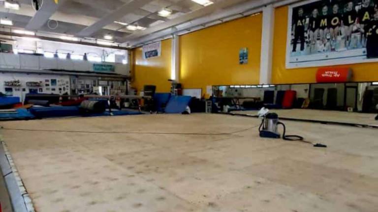 Imola, presunti maltrattamenti: sospensione della tecnica revocata Imola, presunti maltrattamenti: sospensione della tecnica revocata
