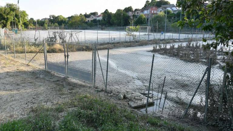Forlì, danni per 2 milioni agli impianti sportivi Forlì, danni per 2 milioni agli impianti sportivi