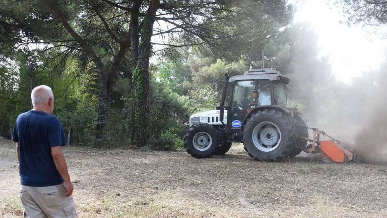 Rimini, Paradiso: si torna in pista, via alla riqualificazione del giardino Rimini, Paradiso: si torna in pista, via alla riqualificazione del giardino