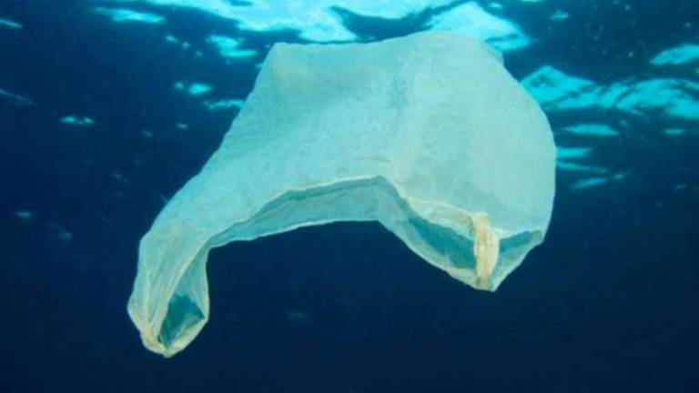 A Rimini il flash mob di Ferragosto contro la plastica in mare A Rimini il flash mob di Ferragosto contro la plastica in mare