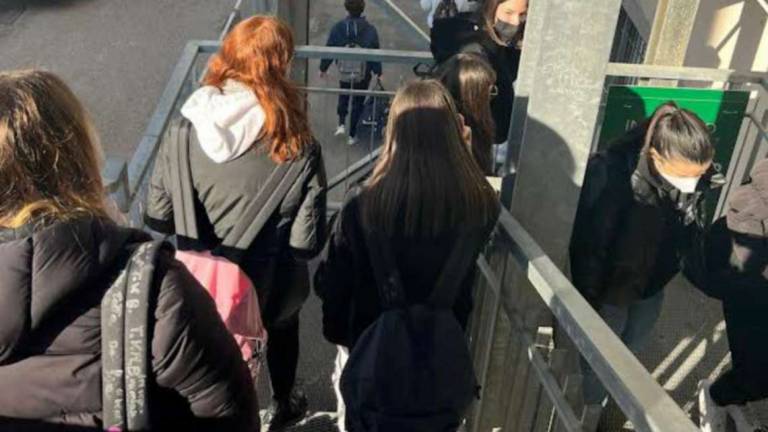 Rimini, sondaggio: basta dad, gli studenti cercano contatto umano Rimini, sondaggio: basta dad, gli studenti cercano contatto umano