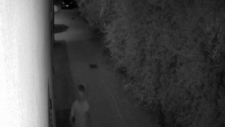 Forlì, allerta furti a Vecchiazzano Forlì, allerta furti a Vecchiazzano
