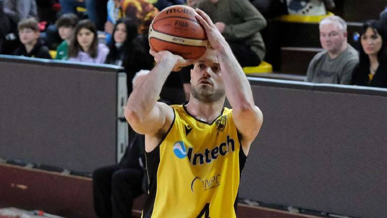 Basket B, Dalpozzo ha ripagato la fiducia della Virtus Basket B, Dalpozzo ha ripagato la fiducia della Virtus