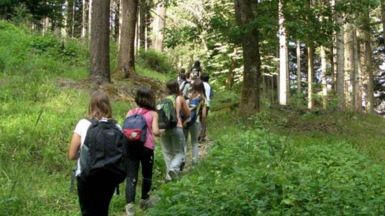 Imola, agriturismi: via ad un progetto di prmozione Imola, agriturismi: via ad un progetto di prmozione