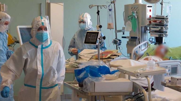 Il primario di Pediatria: Il vaccino tutela donne incinte e neonati Il primario di Pediatria: Il vaccino tutela donne incinte e neonati