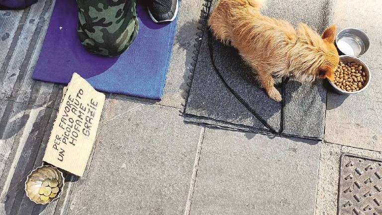 Rimini. Picchia il suo cane, denunciato senzatetto Rimini. Picchia il suo cane, denunciato senzatetto