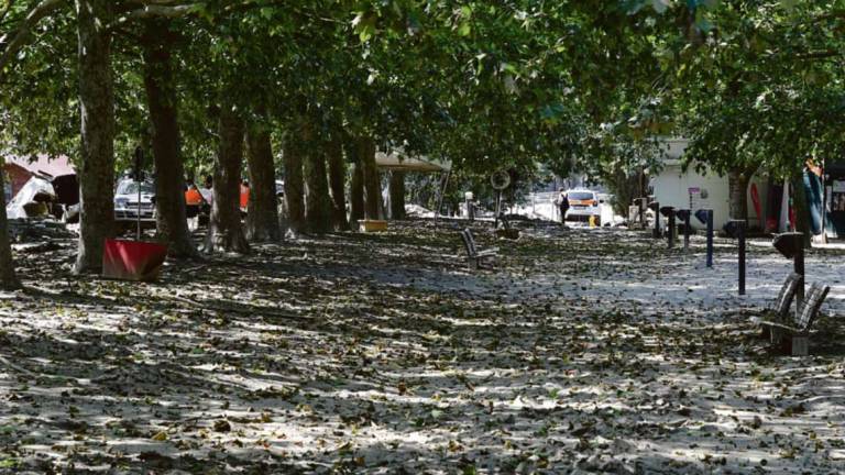 Forlì. Parco urbano sommerso dal fango, via ai lavori - Gallery Forlì. Parco urbano sommerso dal fango, via ai lavori - Gallery