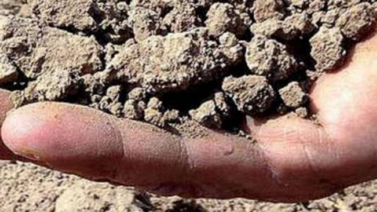 Emergenza siccità: a Rimini scattano limitazioni e divieti Emergenza siccità: a Rimini scattano limitazioni e divieti