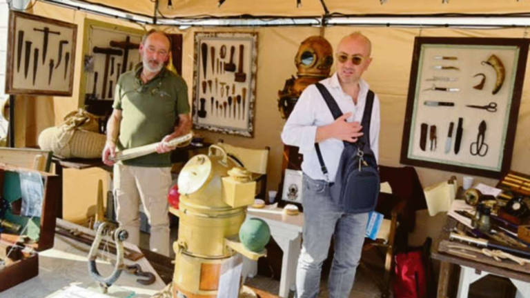 Cesenatico, dalla zanna di tricheco allo scafandro: una collezione che lascia a bocca aperta Cesenatico, dalla zanna di tricheco allo scafandro: una collezione che lascia a bocca aperta