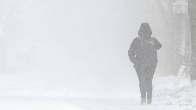 Alfonsine a -23 gradi sotto zero: storia di 38 anni fa Alfonsine a -23 gradi sotto zero: storia di 38 anni fa