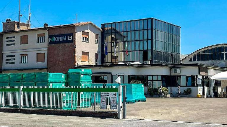 Mordano, ambientalisti contro l'ampliamento della Florim Mordano, ambientalisti contro l'ampliamento della Florim