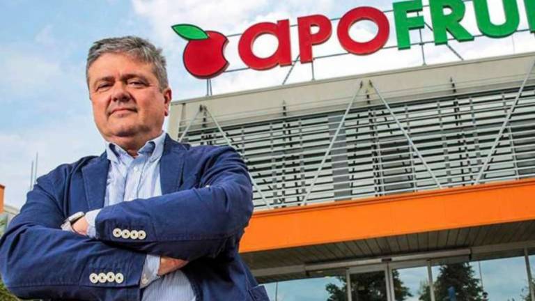 Apofruit Cesena: ogni mese bollette da più di un milione di euro Apofruit Cesena: ogni mese bollette da più di un milione di euro
