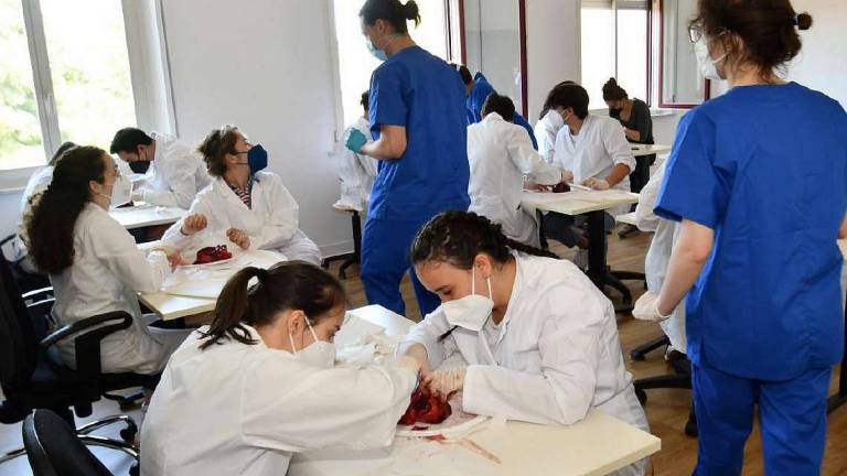 Facoltà di Medicina, in arrivo le nuove matricole Facoltà di Medicina, in arrivo le nuove matricole
