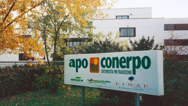 In&Out: il progetto per comunicare la filiera sostenibile In&Out: il progetto per comunicare la filiera sostenibile