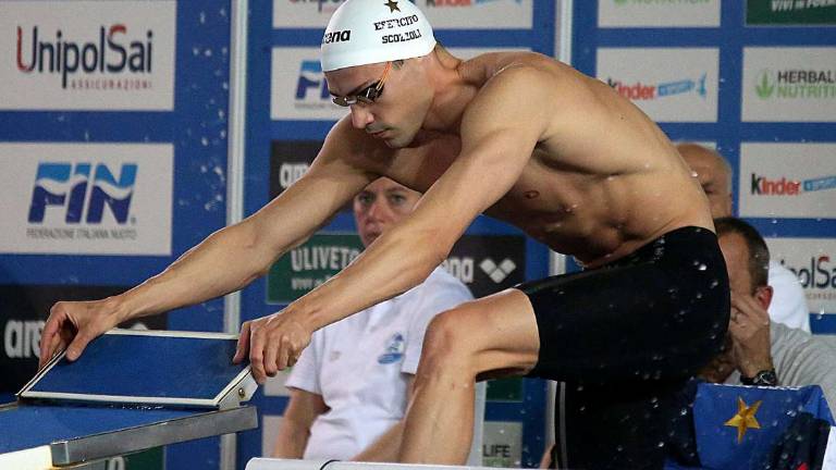 Nuoto, Fabio Scozzoli non molla mai e punta l'Europeo Nuoto, Fabio Scozzoli non molla mai e punta l'Europeo