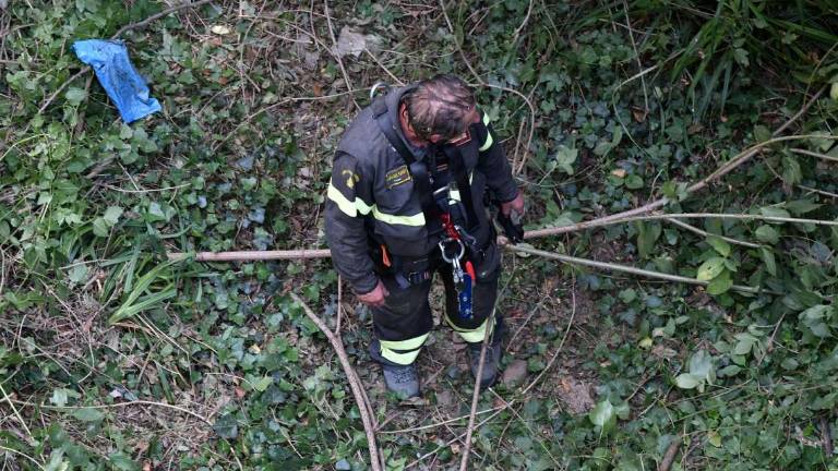 Forlì, omicidio Severi: sotto la lente la pistola ammazzabuoi del fratello Daniele Forlì, omicidio Severi: sotto la lente la pistola ammazzabuoi del fratello Daniele