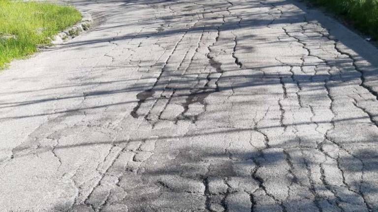 Strada malmessa a Selvapiana: solo qualche rattoppo Strada malmessa a Selvapiana: solo qualche rattoppo