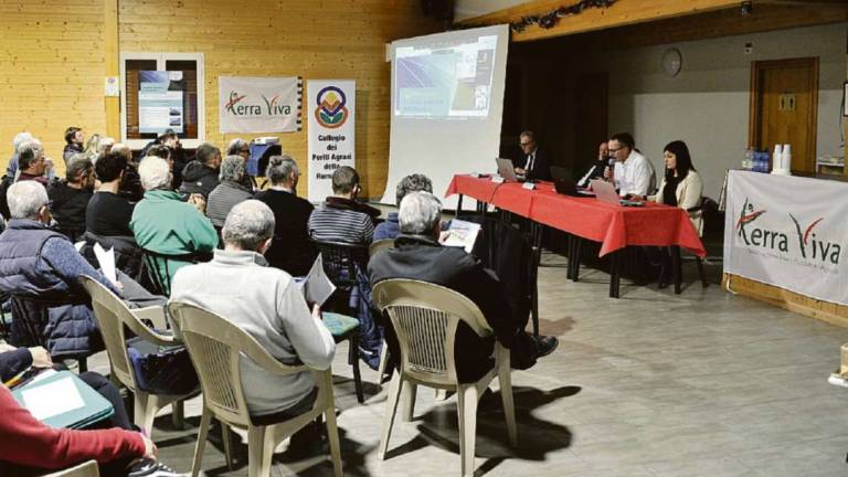 Agri fotovoltaico, opportunità sotto il peso di molte incertezze Agri fotovoltaico, opportunità sotto il peso di molte incertezze