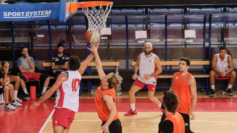 Basket, i Tigers partono meglio e con Borsato piegano Imola Basket, i Tigers partono meglio e con Borsato piegano Imola