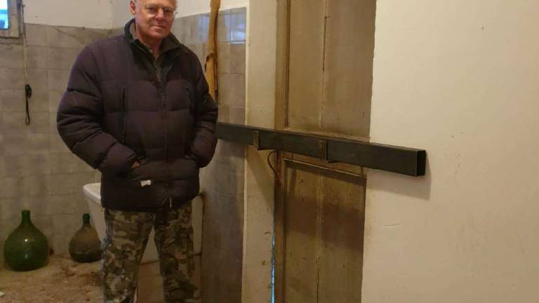 Lugo, ladri al rifugio per gatti disabili Lugo, ladri al rifugio per gatti disabili
