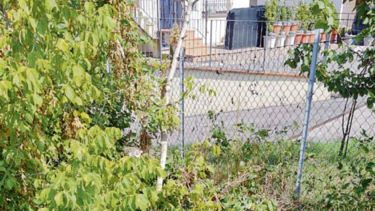 Aiuto ci troviamo le pantegane in casa: la protesta di Bora di Mercato Saraceno Aiuto ci troviamo le pantegane in casa: la protesta di Bora di Mercato Saraceno