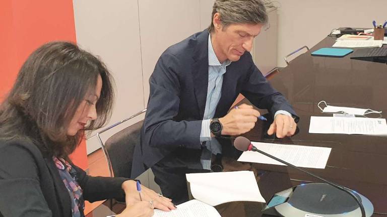 Radici per il futuro: Cesena seconda in regione con 25 mila alberi Radici per il futuro: Cesena seconda in regione con 25 mila alberi
