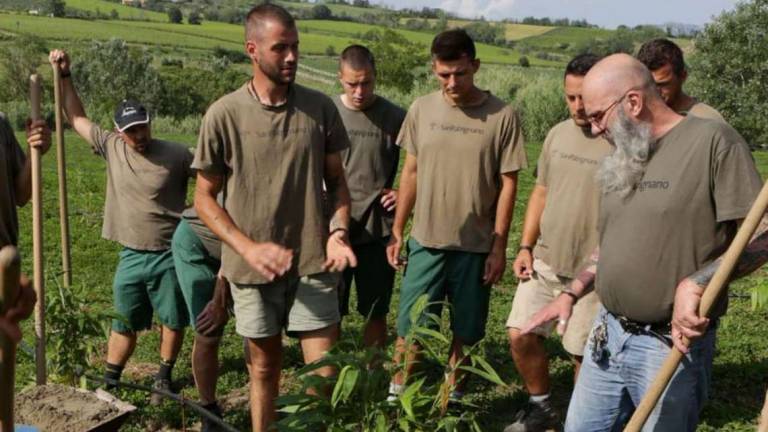 Morto Vanni Laghi, l'artista del verde di San Patrignano Morto Vanni Laghi, l'artista del verde di San Patrignano