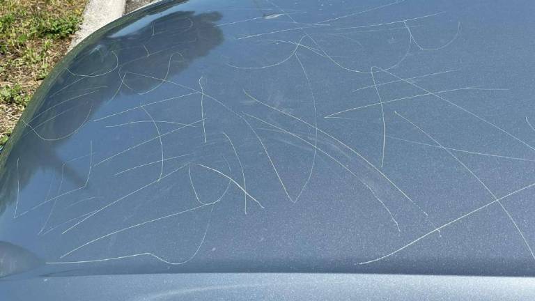 Covid: vandali negazionisti contro le ambulanze di Cesena Covid: vandali negazionisti contro le ambulanze di Cesena