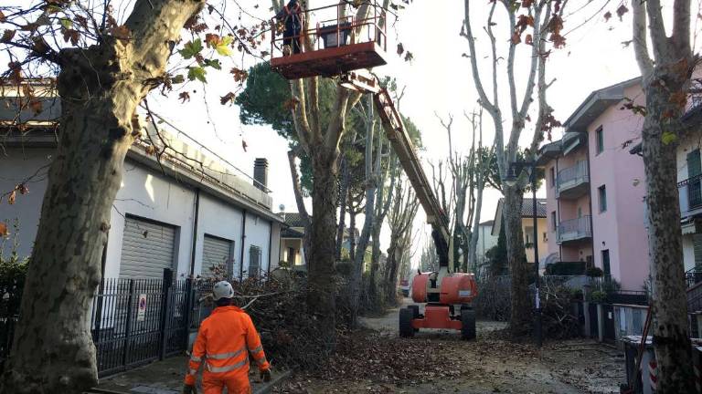 Cesenatico Servizi costa quasi 4 milioni in un anno Cesenatico Servizi costa quasi 4 milioni in un anno