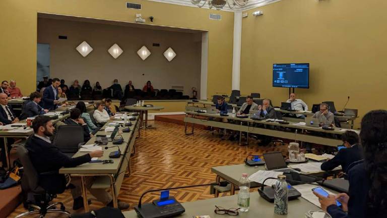 Cesena, cittadinanza onoraria ai minori stranieri: scintille in aula Cesena, cittadinanza onoraria ai minori stranieri: scintille in aula