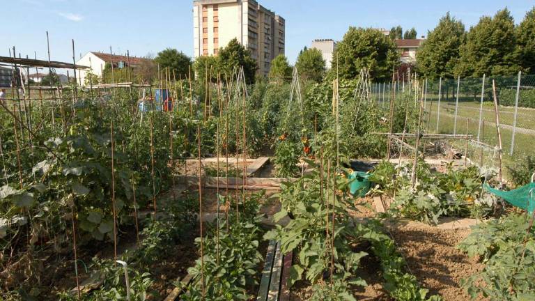 Forlì. Orti urbani, nuovo pozzo nella zona di via Bengasi Forlì. Orti urbani, nuovo pozzo nella zona di via Bengasi