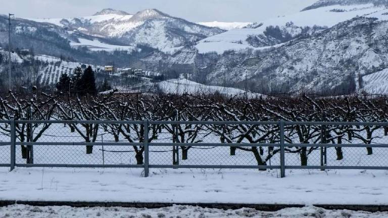 Le ondate di freddo pungente causate dal riscaldamento globale Le ondate di freddo pungente causate dal riscaldamento globale