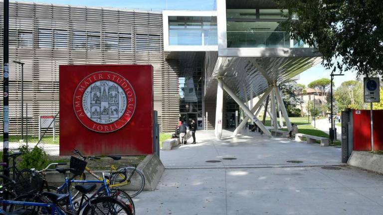 Forlì, un sito per trovare stanze per universitari Forlì, un sito per trovare stanze per universitari