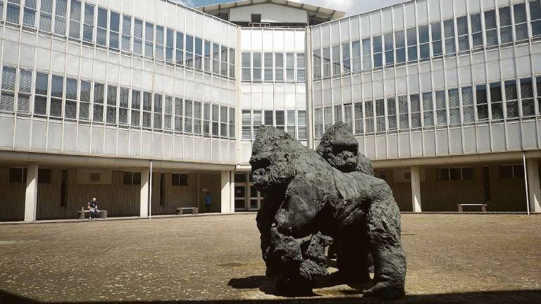 Ravenna, truffa sull'asta immobiliare: agenzia e finto avvocato nei guai Ravenna, truffa sull'asta immobiliare: agenzia e finto avvocato nei guai