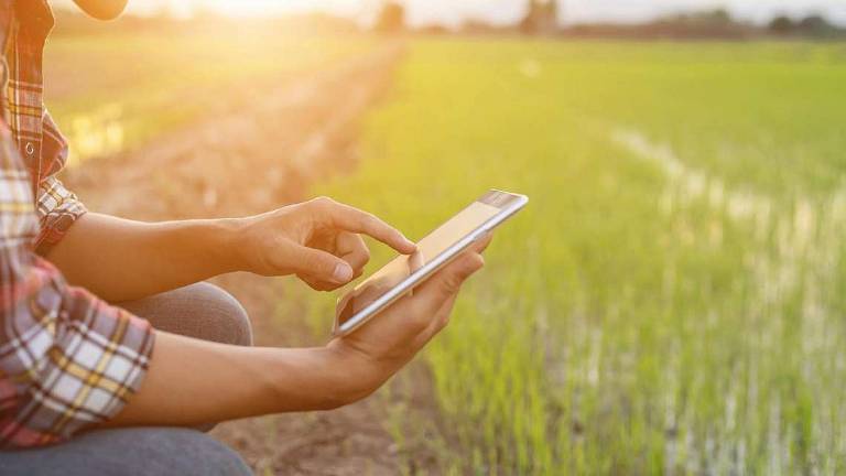 Il “Carbon calculator” per i campi Il “Carbon calculator” per i campi