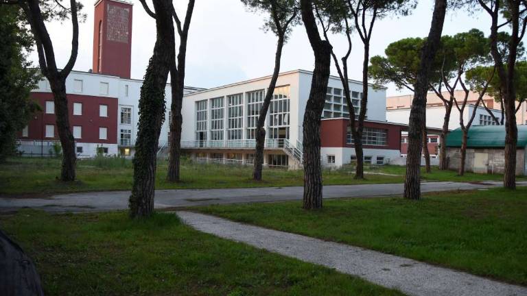 Forlì. All'ex Gil il Museo della Ginnastica Bruno Grandi Forlì. All'ex Gil il Museo della Ginnastica Bruno Grandi