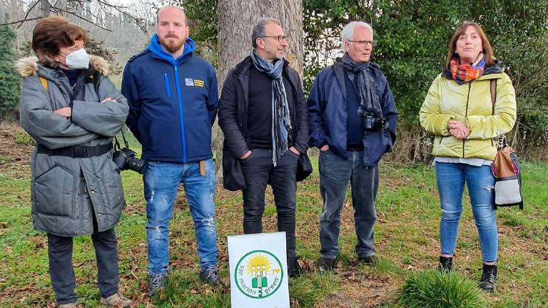 A Sogliano si fotografa l’anima degli alberi A Sogliano si fotografa l’anima degli alberi