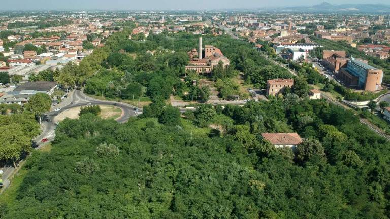 Forlì. Ex Eridania terreno agricolo, così il Comune può acquistarlo Forlì. Ex Eridania terreno agricolo, così il Comune può acquistarlo