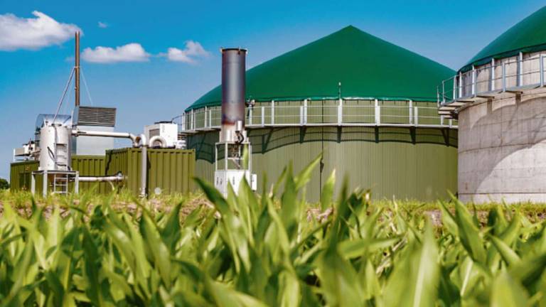 Ravenna, Biogas, la Rosetti Marino decuplica il fatturato in tre anni: da 2 a 20 milioni Ravenna, Biogas, la Rosetti Marino decuplica il fatturato in tre anni: da 2 a 20 milioni