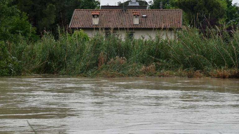 Forlì, Legambiente: Cementificazione e fiumi, quanti errori Forlì, Legambiente: Cementificazione e fiumi, quanti errori