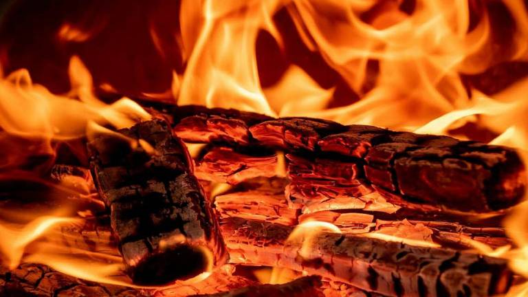 L’uomo preistorico inquinava: ecco lo studio che lo incastra L’uomo preistorico inquinava: ecco lo studio che lo incastra